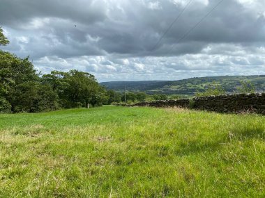 Large meadow, with a dry stone wall, long grass, and a curlew high above, Bradley, Yorkshire