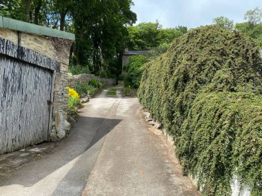 Old buildings, a road, and a large green hedgerow in, Kildwick, Keighley, UK