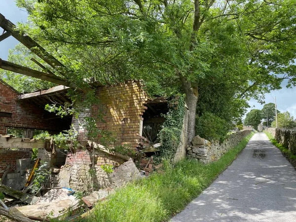 Farmhouse Ruin Next Old Trees Narrow Road Skipton Yorkshire — Stockfoto