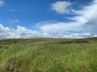 Long grasses on the moor, with Cowling Pinnacle, on the horizon in, Cowling, Keighley, UK
