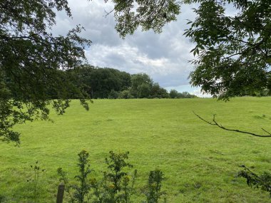 Meadow landscape with old trees in, Horsforth, Leeds, UK 