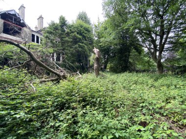 Derelict former nursing home, overgrown with plants and bushes in, Heaton, Bradford, UK