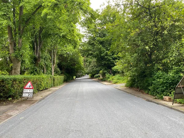 Road Lined Old Trees Hedges Heaton Bradford — Stockfoto