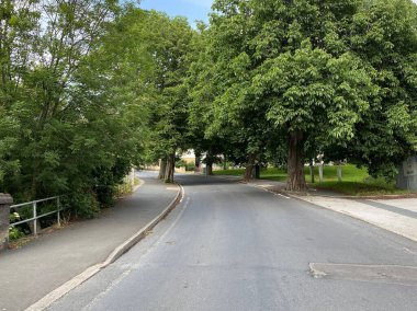Poplar road with old trees, leading from the main Bradford to Shipley highway in Yorkshire UK