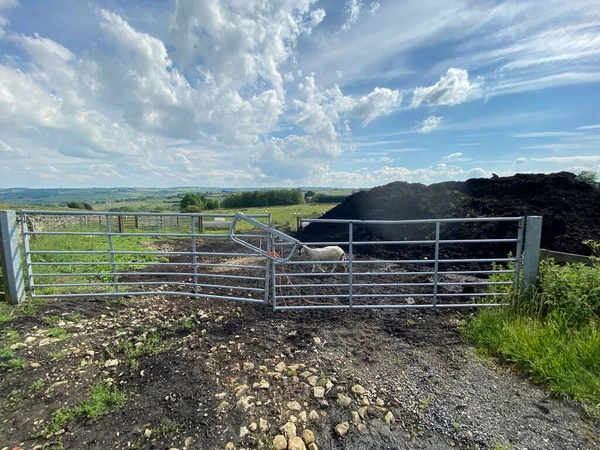 View Farmgate Goat Fields Keighley Yorkshire — Stockfoto