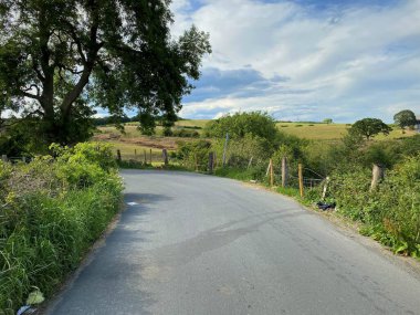 Lee Lane, lined with grasses and trees in, Tong, Bradford, UK