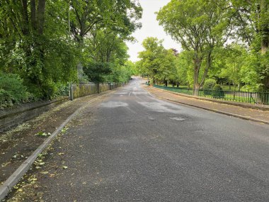 A view up North Park road, lined with old trees, and fencing in, Bradford, Yorkshire, UK