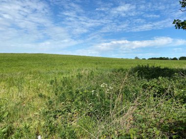 Spring landscape view, over a field, near Bradford, Yorkshire