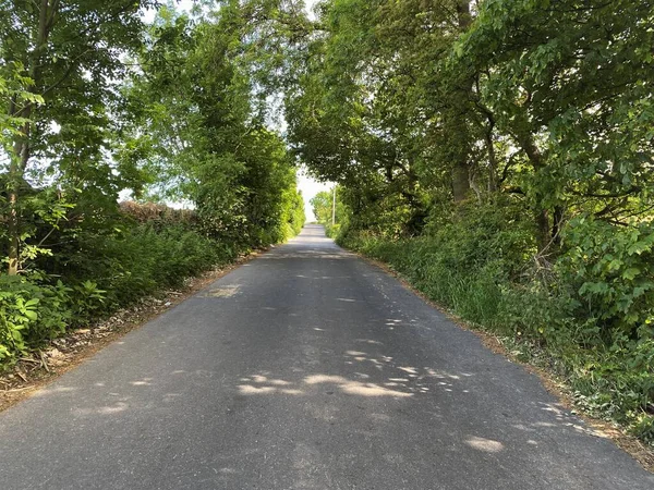 New Lane Lined Old Trees Leading Tong Bradford Yorkshire — Stock Fotó