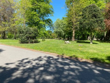 Dog taking exercise through the grounds of, Lister Park, Bradford, Yorkshire, UK