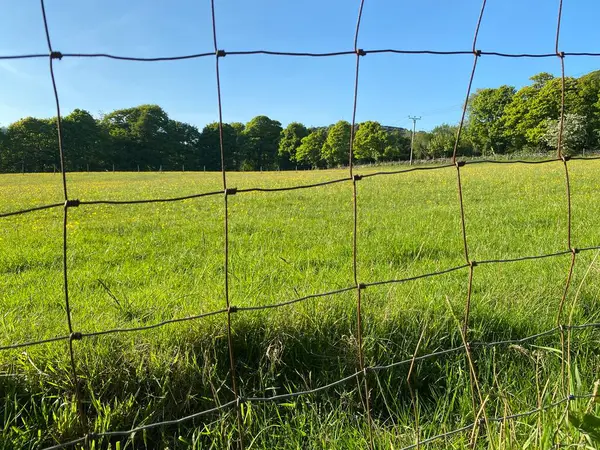 Large Flowery Meadow Surrounded Wire Fence Wilsden Bradford Yorkshire — Stockfoto