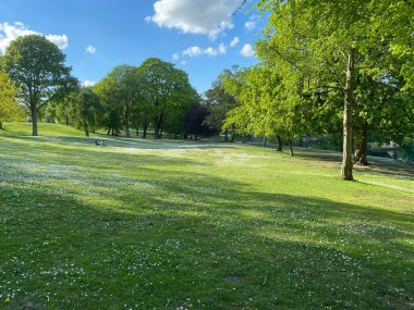 Large park meadow, with old trees and flowers in, Lister Park, Bradford, Yorkshire, UK