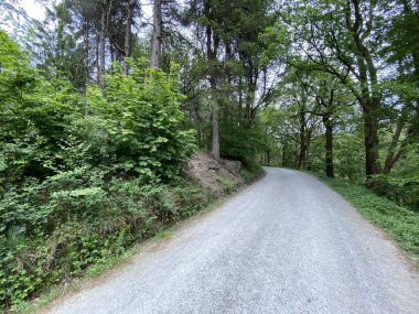 Tree lined road, leading down from Hardcastle Crags in, near Hebden Bridge, Yorkshire, UK