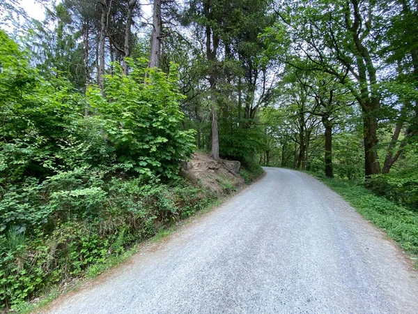 Tree Lined Road Leading Hardcastle Crags Hebden Bridge Yorkshire — стоковое фото