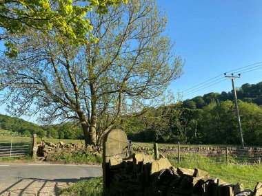 Trees, dry stone walls and a road in, Shibden Valley, Halifax, Yorkshire