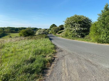 Country road with trees and grass in, Thornton, Bradford, UK
