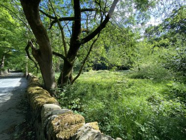 Meadow with flowers in Shibden Valley