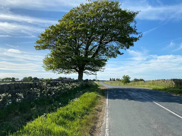 Country Road Outskirts Bradford Yorkshire — 图库照片