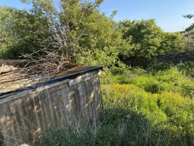 Old shed, nestled in the corner of a field, with flowers, grass, and trees, set against a blue sky, in Shibden Valley, Halifax, Yorkshire, England