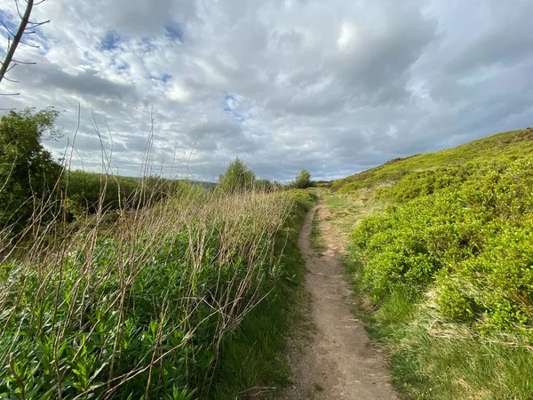 Narrow Footpath Gorse Reeds High Hills Haworth Very Cloudy Late — 스톡 사진