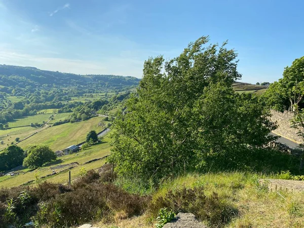 Green Tree Foreground Distant Landscape View Shibden Valley Set Blue — Stock Fotó