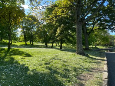Old trees, and sloping green banks in, Lister Park