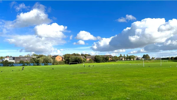 Kiterjedt Zöld Terület Futballpályával Feketerigókkal Sirályokkal Kék Égbolttal Bradford Moor — Stock Fotó
