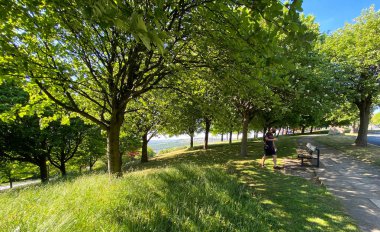 Dennison Ormanı 'nın tepesinde, yaşlı ağaçlar, uzun otlar ve tahta bir bankta oturmak üzere olan adam, Wrose, Bradford, İngiltere' de.