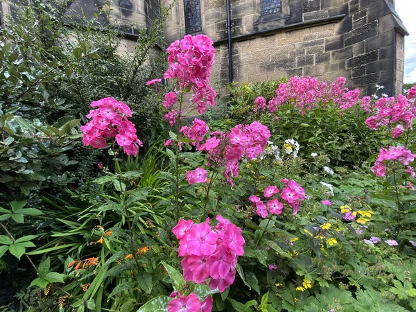 Flores Crescendo Lado Uma Igreja Velha Dia Nublado Steeton Reino — Fotografia de Stock