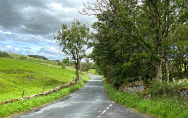 Marl Hill Yolu boyunca, eğimli tarlalar, eski ağaçlar ve Lothersdale, İngiltere yakınlarında bulutlu bir gökyüzü.