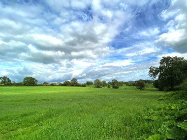 Geniş yeşil alanlar ve ufukta bir çiftlik evi olan kırsal alan, Hall Brow, Airton, İngiltere