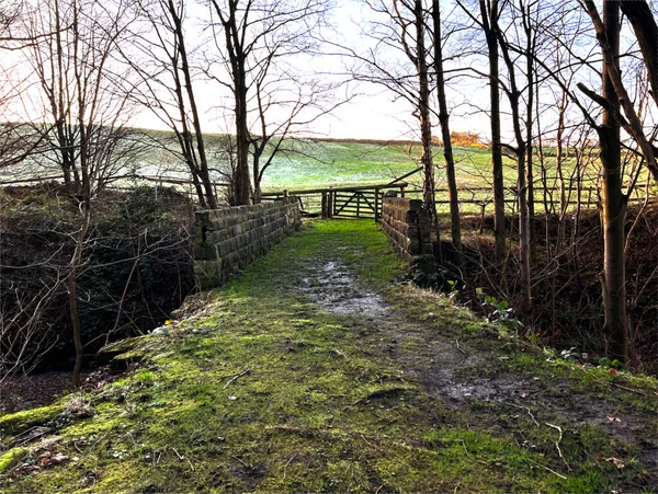 Farmgate Exit Winter Small Wood Csupasz Trees Small Bridge Cold — Stock Fotó