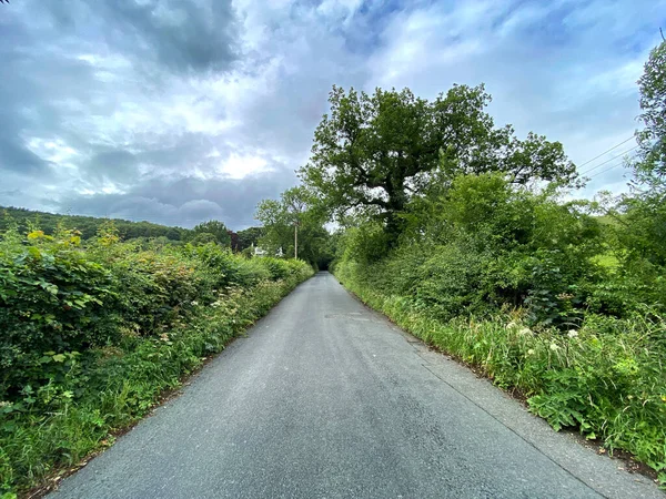 Tittar Längs Old Hollins Hill Med Häckar Vilda Blommor Och — Stockfoto