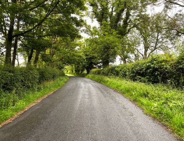 Islak yaz günlerinde, White Hills Lane 'de, çalılar, yabani bitkiler ve yaşlı ağaçlarla, Stirton, Skipton, İngiltere