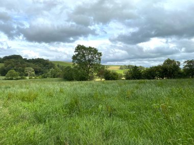 Yorkshire Dales kırsalında, geniş tarlaları, uzun otları ve Airton, Skipton, İngiltere yakınlarındaki uzak tepeleri var.