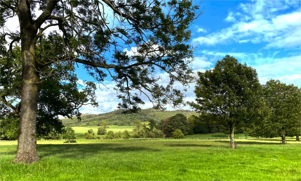 Krajobraz Wiejski Późny Letni Dzień Pobliżu Clitheroe Drogi Skipton Flasby — Zdjęcie stockowe