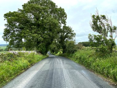 Clitheroe 'dan Skipton yoluna bakın. Kuru taş duvarlar, yabani bitkiler ve yakınlardaki yaşlı ağaçlar, Hetton, Skipton, İngiltere.
