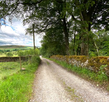 Aşağı bakıyor, Fleets Lane, yosun kaplı bir duvar ve uzak tepeler, Rylstone, Skipton, İngiltere
