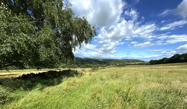 Yorkshire Paisagem Rural Com Campos Árvores Colinas Distantes Perto Otley — Fotografia de Stock