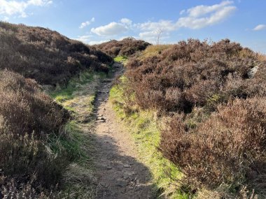 Vahşi geçitlerle, taşlarla ve otlarla, bozkırlara doğru, Denholme, Bradford, İngiltere