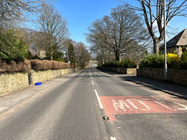Güneşli kış günleri, Layton Yolu, eski ağaçlar, evler ve mavi gökyüzü, Horsforth, Leeds, İngiltere