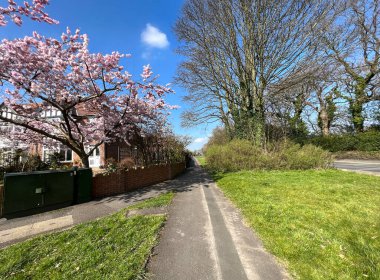 Güneşli bir kış gününde Adel, Leeds, İngiltere 'de kiraz çiçekleri ve evlerle birlikte New Adel Yolu' nun patikasına bakın.