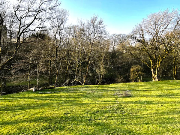 View Gill Lane Fields Church Hidden Trees Sunny Late Winters — Stock Photo, Image