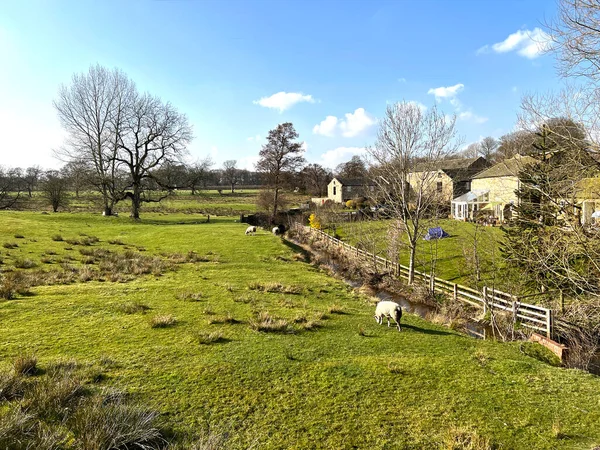 Landelijk Landschap Met Uitgestrekte Velden Schapen Een Beek Boerderijen Church — Stockfoto