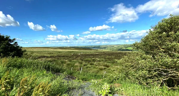 Vista Panoramica Attraverso Brughiere Una Giornata Estiva Askwith Moor Road — Foto Stock