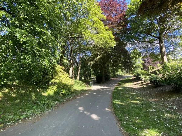 Güneşli bir günde, Keighley, İngiltere 'de ağaçlar, çalılıklar ve kayın ağaçlarıyla parktan geçen yol. 
