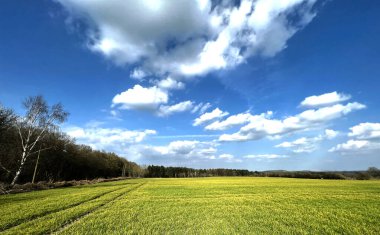 İngiltere 'nin Adel, Leeds kentindeki geniş tarlaları, ağaçları ve uzak tepeleri olan Eccup Lane' in yanında sakin bir manzara.