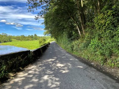 Neps Lane, Ribble Nehri 'ni geçerken, Bolton-by-Bowland, İngiltere' de ağaçlar ve tepelerle birlikte manzarayı izleyin.