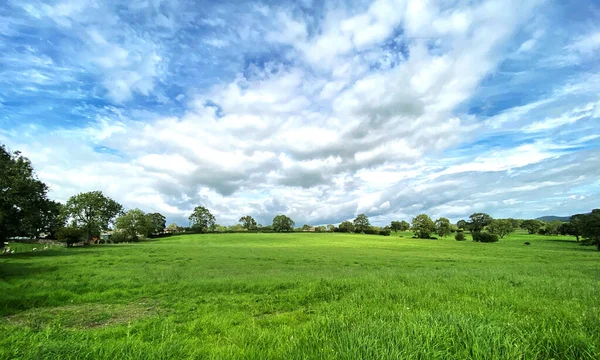 Yorkshire Dales Landscape Extensive Fields Trees Distant Hills Airton Skipton — Foto de Stock