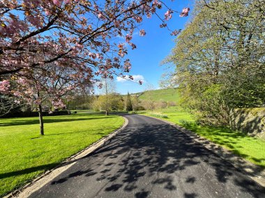 Manzara açık, Norwood Lane, Kiraz Çiçeği, yeşil çimenler, ve uzak tepeler, Cowling, Keighley, İngiltere